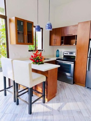 Beautiful kitchen- luxury Villa in Manuel Antonio for sale-a perfect place to live with your family