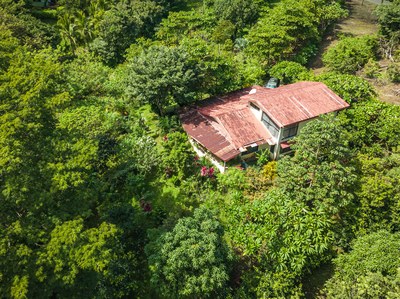 Casa Venado Drone View in Forest 1.jpg
