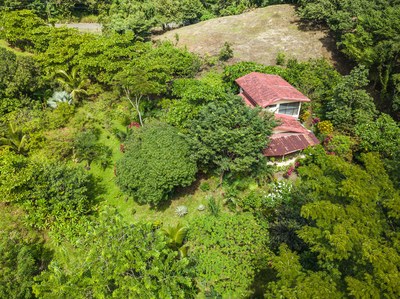 Casa Venado Drone view in Forest 2.jpg