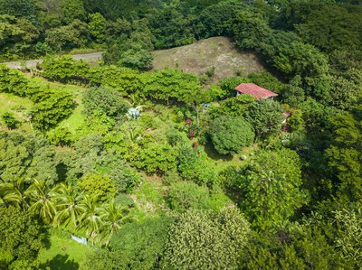 Casa Venado Drone View in Forest 3.jpg