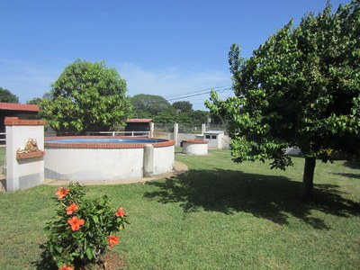 GARDEN OF THE HOUSE III-HOUSE FOR SALE-LIBERIA-REAL STATE.JPG