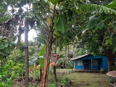 4. Steiner_Investment_Real_Estate-House-Home-Casa-For_Sale-Liberia-Costa_Rica-C166.jpg