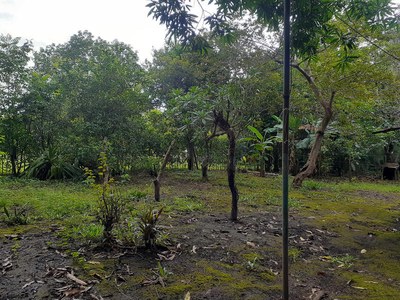 6. Steiner_Investment_Real_Estate-House-Home-Casa-For_Sale-Liberia-Costa_Rica-C166.jpg