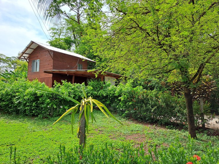 Casa Granada: Rustic 2 Story Jungle Home, Perfect Home for Nature Lovers, and a quick walk to Rio Buena Vista