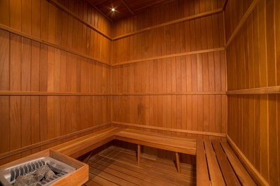 Sale-house-luxury-Hacienda-Los-Reyes-Costa-Rica-sauna.JPG